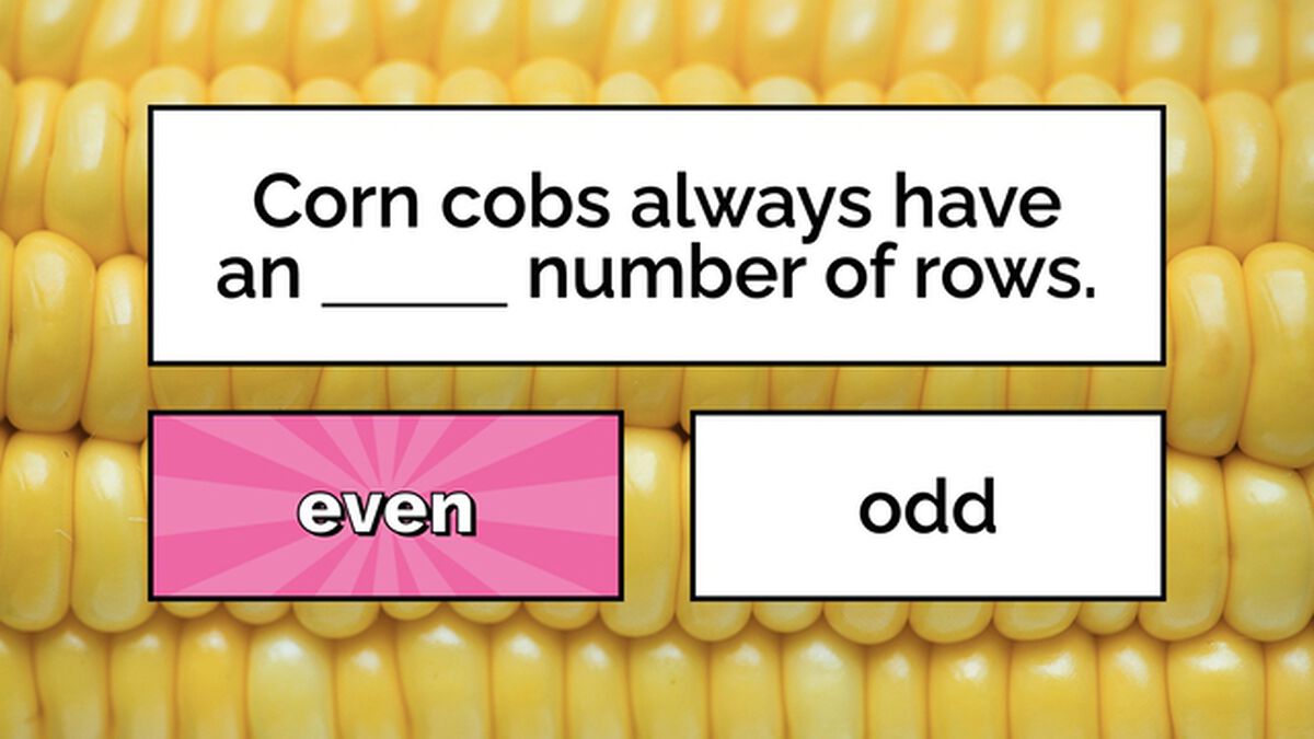 It's Corn! image number null